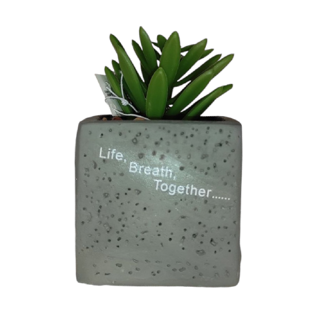 Műkaktusz szürke cserépben – 6x6x9 cm, elegáns kis lakásdekor