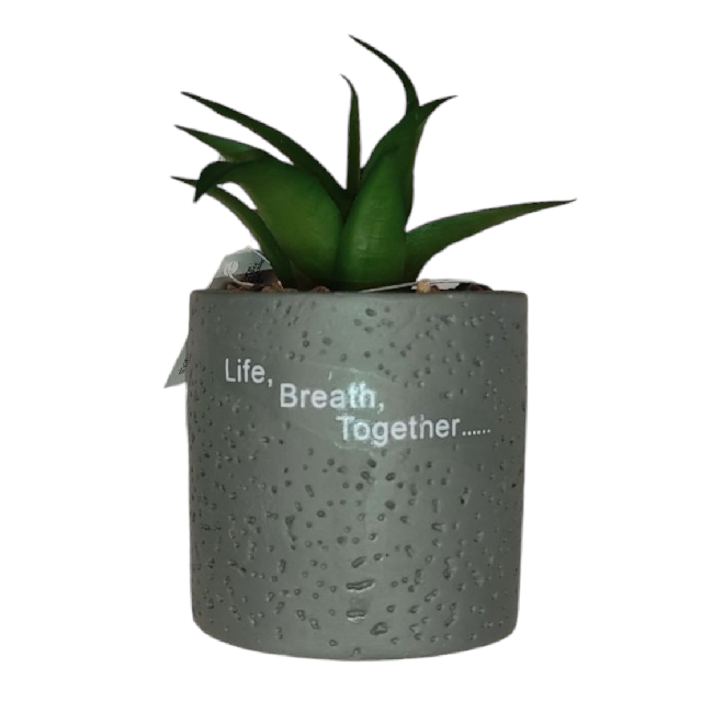 Aloé művirág gipsz kaspóban – 6x12 cm, elegáns kis méretű dísz