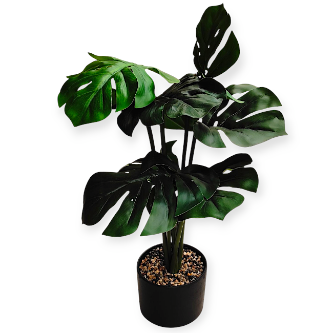 Könnyezőpálma, Filodendron műnövény cserépben 15x60cm
