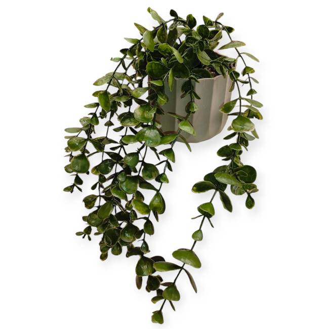 Buxus műnövény cserépben – 25 cm zöld dekoráció beltérre és teraszra