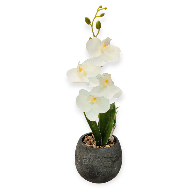 Fehér orchidea művirág szürke kerámia kaspóban – 10×30 cm